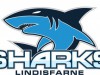 Lindisfarne Sharks logo